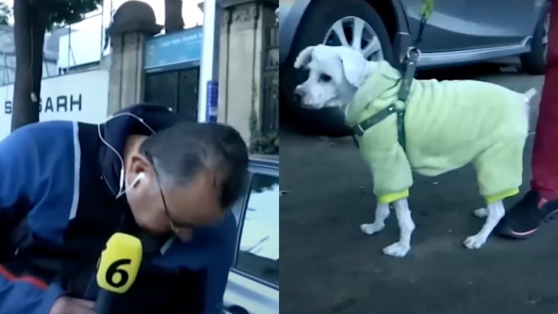 Reportero fue atacado por perro mientras realizaba despacho en vivo