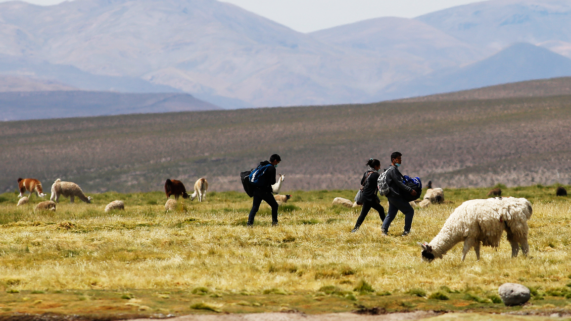Cámara aprobó ley que tipifica como delito el ingreso clandestino a Chile