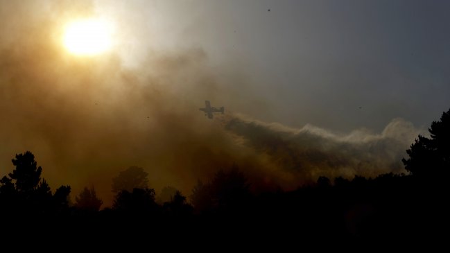  Incendio forestal mantiene en alerta roja a Yumbel  