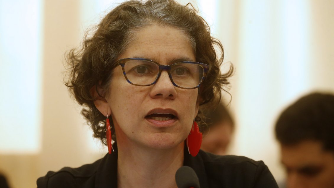 Diputado RN: Más que pedirle la renuncia, la propia ministra Rojas podría dar un paso al costado