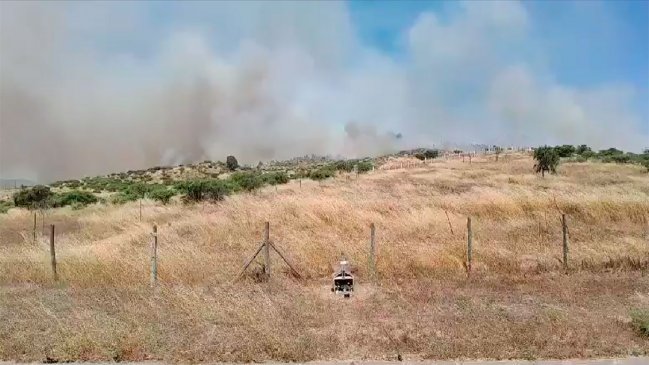 Incendio forestal destruyó una vivienda en Pumanque
