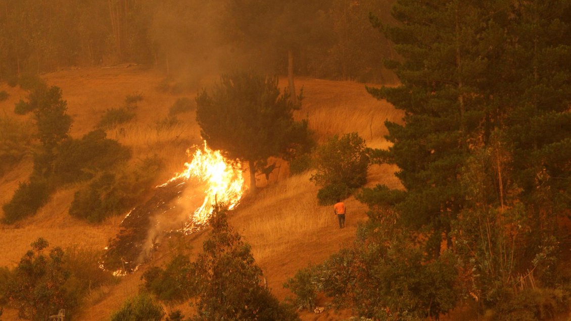 La Araucanía registra 15 incendios forestales