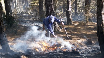   Colombia prende las alarmas mientras los incendios arrasan los cerros del país 