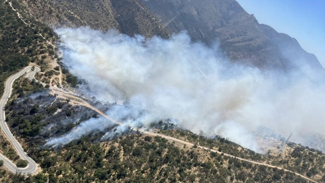 Incendio forestal afecta a sector de Cuesta Lo Prado en Curacaví