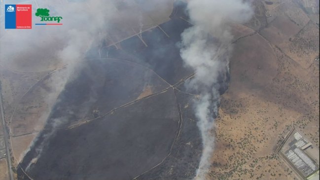 Alerta roja en Lampa por avance de incendio forestal