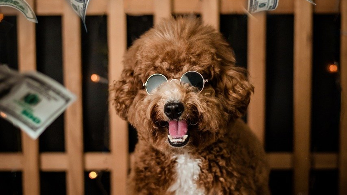 Anciana deja $2 mil millones de herencia a sus mascotas en lugar de sus hijos