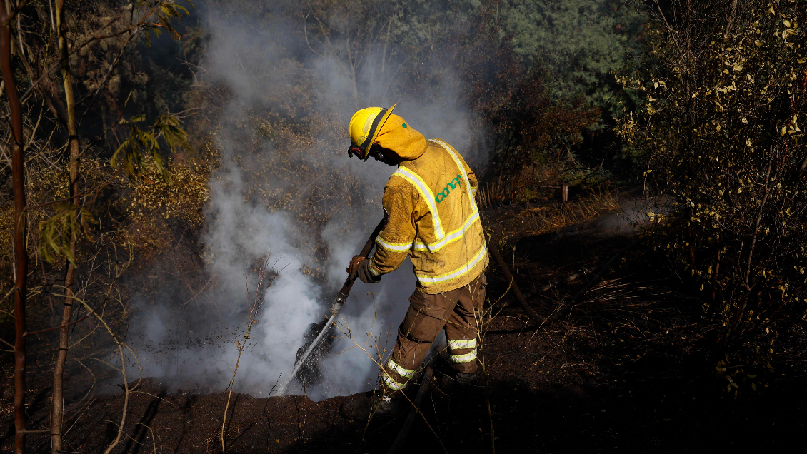 Incendio forestal en Lonquimay ha consumido más de 500 hectáreas