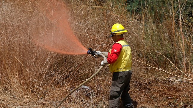  Se mantiene la alerta roja para Puerto Montt: Incendio ha consumido casi 700 hectáreas  