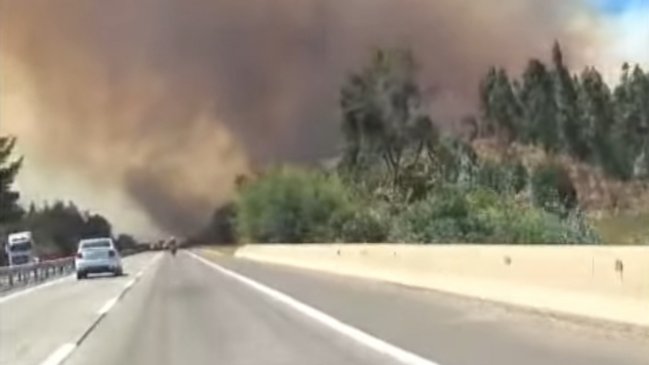   Incendio forestal afecta a la reserva de Lago Peñuelas 