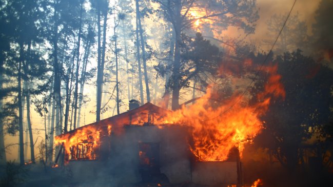  Incendios forestales en O'Higgins: Al menos 48 casas afectadas en cuatro comunas  