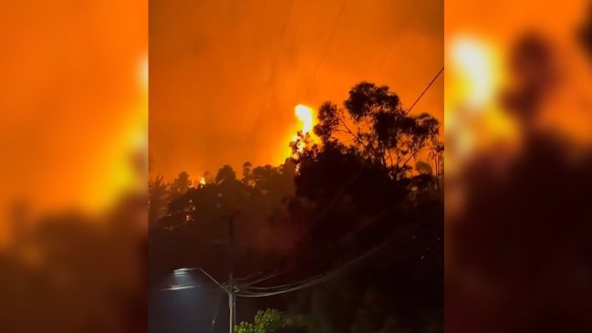  Alerta roja para Constitución por incendio forestal cercano a viviendas  