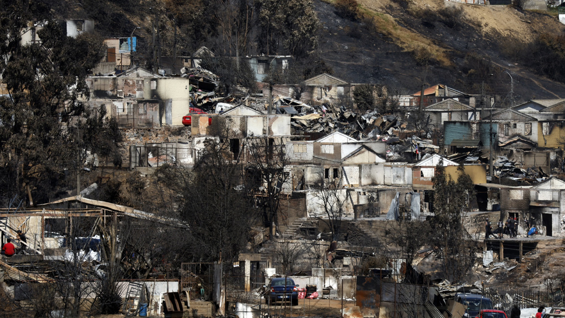 Tohá: Hay que evitar construcciones en límites con bosques