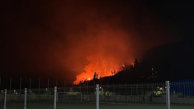 Incendios: alcalde de Galvarino pide modificar la Ley de Bosques