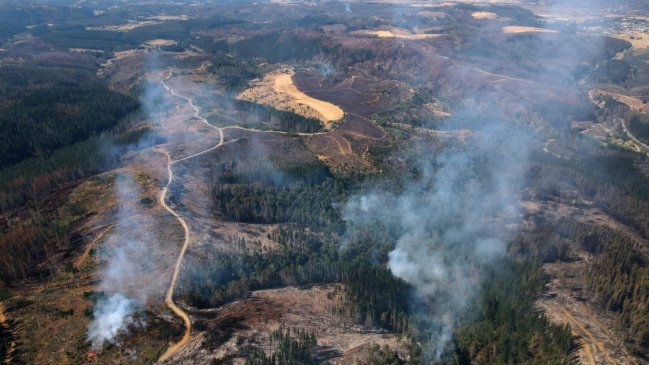   La Araucanía registra 17 incendios forestales activos: Comunas mantienen alerta roja 