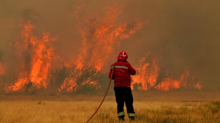  Incendio ha consumido más de 7.800 hectáreas en reserva de la Patagonia argentina  