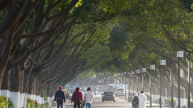 China: Nanjing y Suzhou se suman a Red Mundial de Ciudades del Aprendizaje