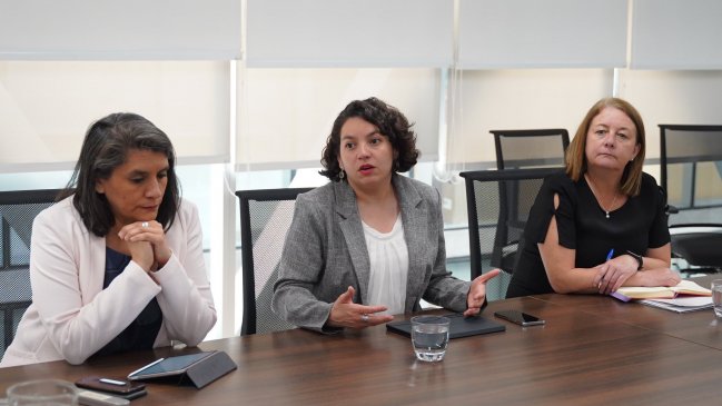 Próxima semana presentarán primeros proyectos que se financiarán con el Fondo de Reconstrucción