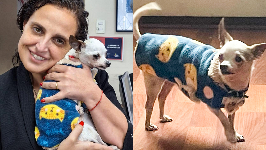 Perrito se reencontró con su familia tras ser robado hace cinco años en la Plaza de Armas