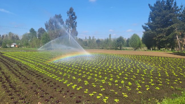 Indap reparará sistemas de riego de comunidades pehuenches en La Araucanía