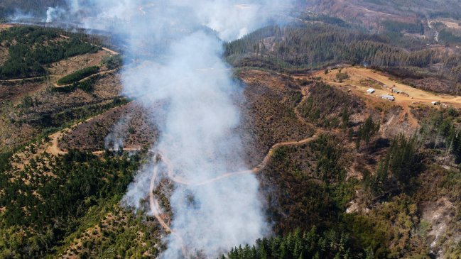  Hombre sospechoso de iniciar incendio forestal en Pucón quedó en prisión preventiva  