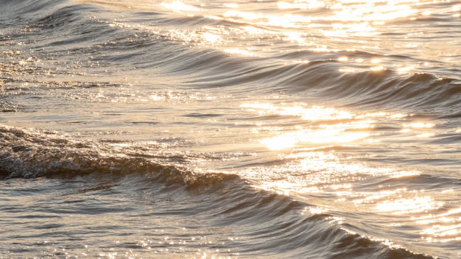 Reportan desaparición de niño de 14 años en playa Maule de Puerto Saavedra