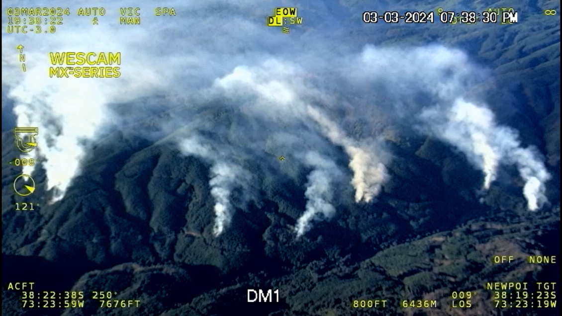 Corma denunció 19 focos simultáneos en incendio forestal en Tirúa