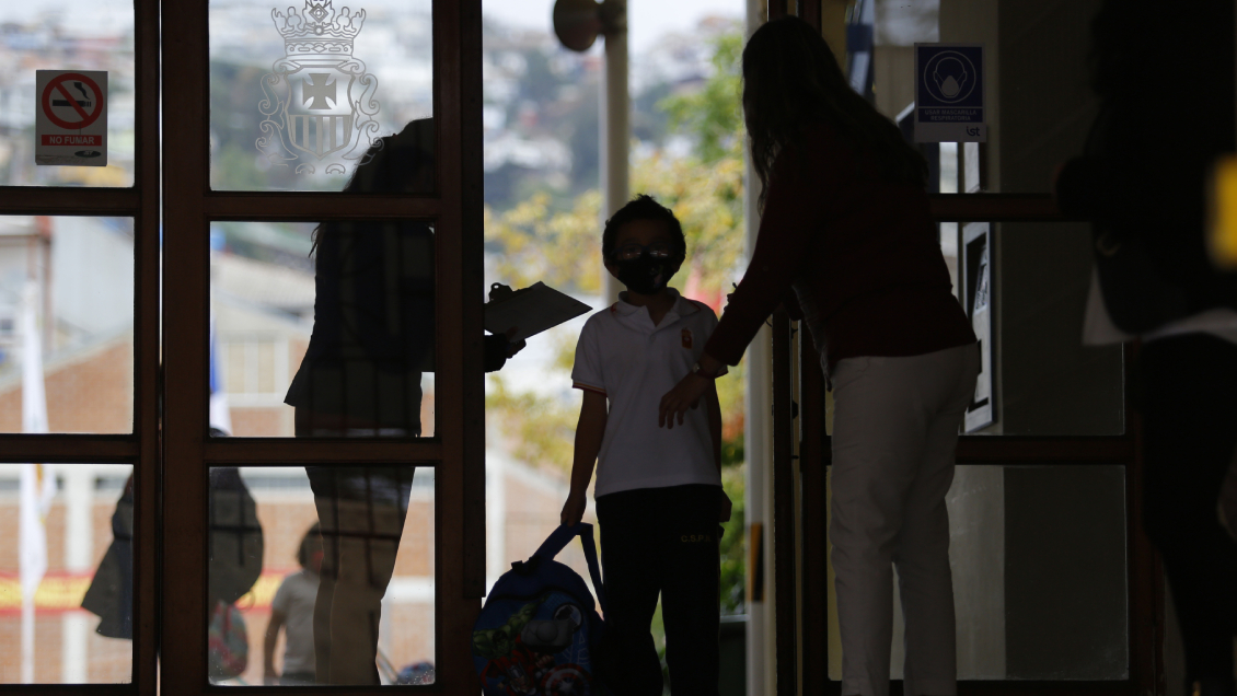 Jefe de Agencia de la Calidad: 