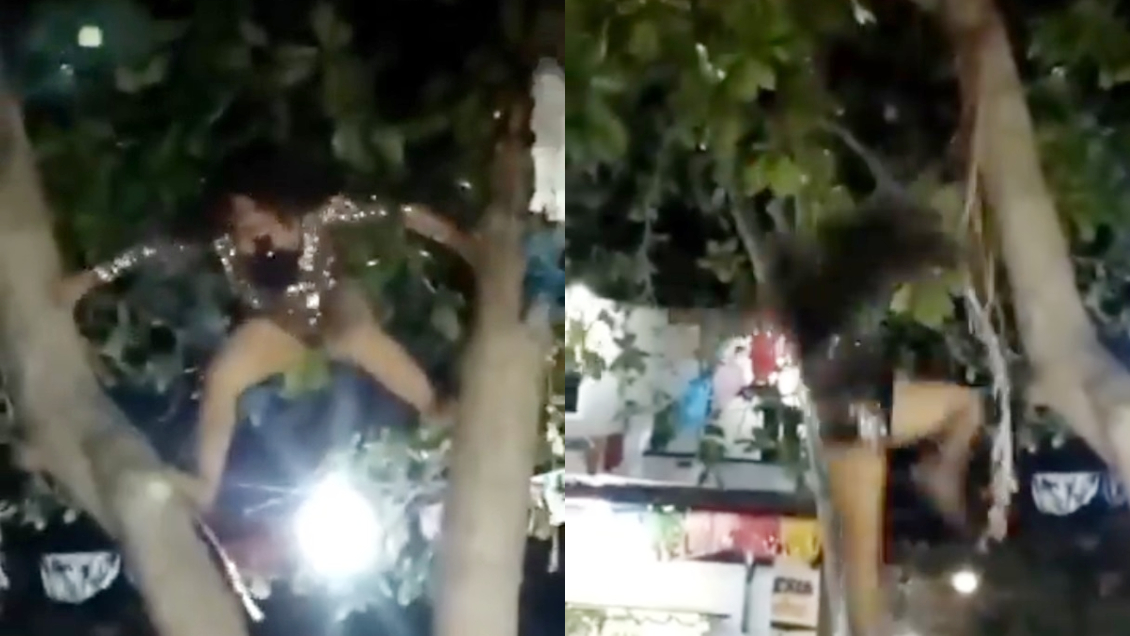 Doble de Gloria Trevi se accidentó tras trepar un árbol en pleno show: 