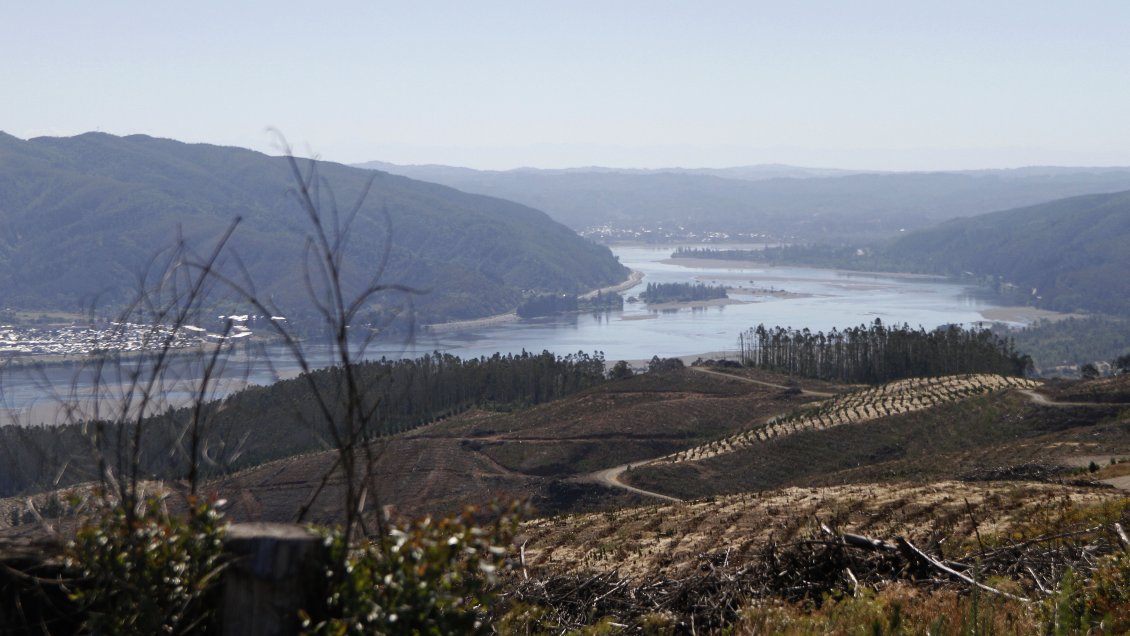 Araucanía: Agricultora que protestó con huelga de hambre sufre nueva usurpación