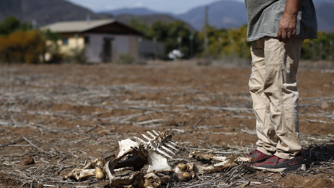Expertos advierten que La Niña podría provocar la misma sequía extrema de hace un siglo
