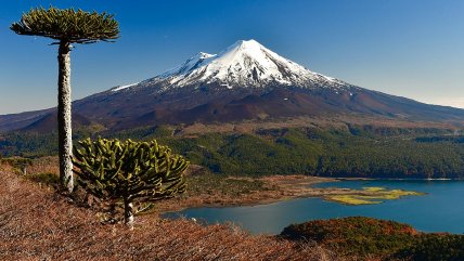  Seis excursionistas fueron rescatados en el Volcán Llaima  