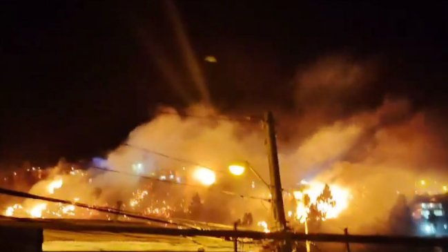 Incendio destruye al menos 10 viviendas y se extiende hacia zona forestal en Valparaíso