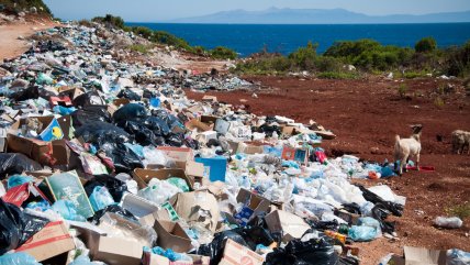   Más de 1.050 millones de toneladas de comida terminaron en la basura en 2022 