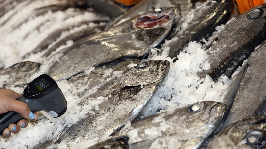 Olor, color y textura: Consejos para saber si el pescado está fresco