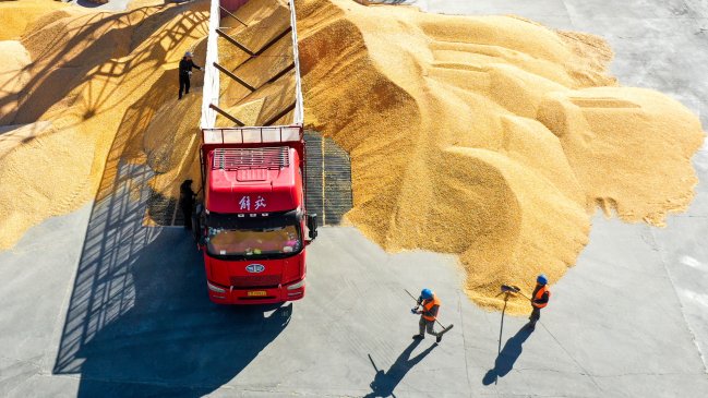 Importaciones de cereales de China suben entre enero y febrero