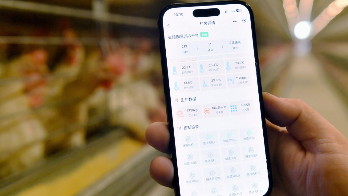 Producción de teléfonos inteligentes de China se dispara en inicios de 2024