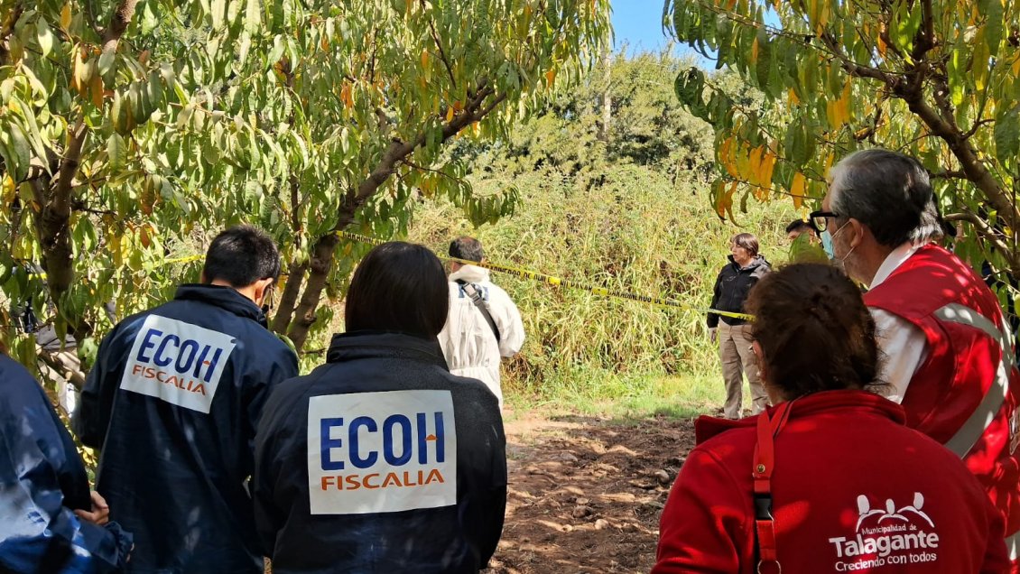 Agricultor halló cadáver masculino en un predio de Talagante