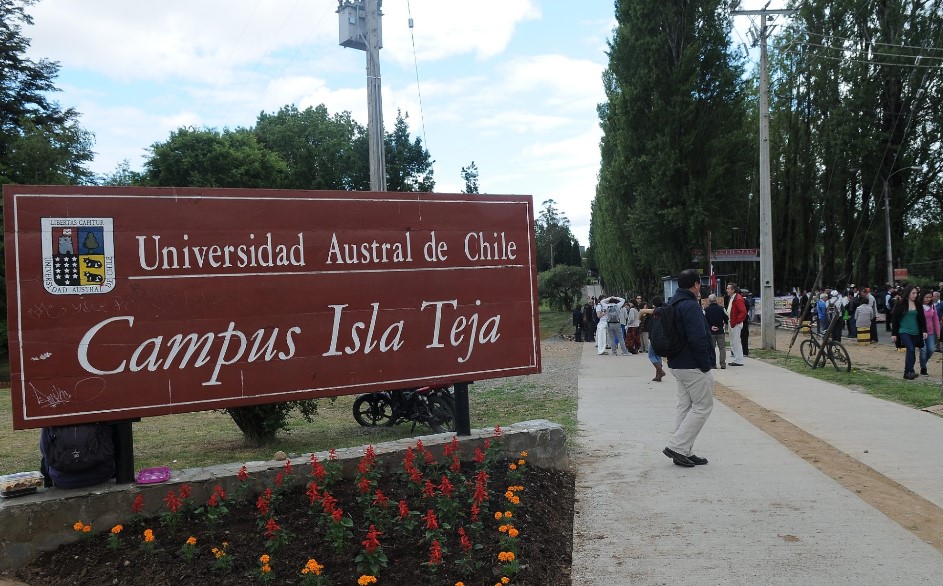Universidad Austral evalúa el despido de unos 300 docentes