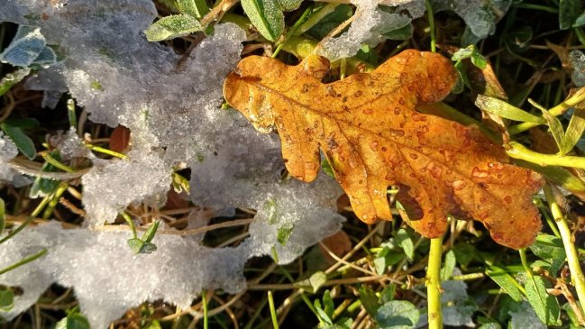 Región de Ñuble tendrá temperaturas bajo cero gran parte de la semana