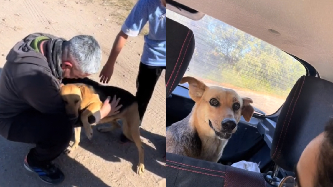 Familia se reencontró con su perrita perdida después de un mes