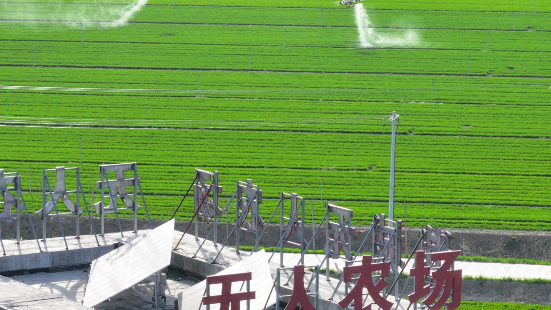 China planifica tareas clave de digitalización rural