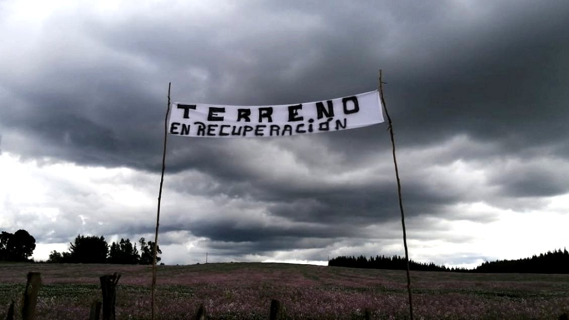 Diputados RN piden enfrentar los 