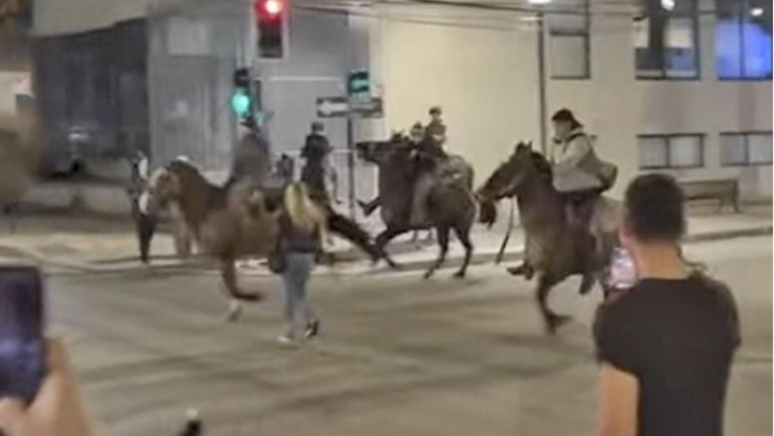 Gobierno anunció querellas por 