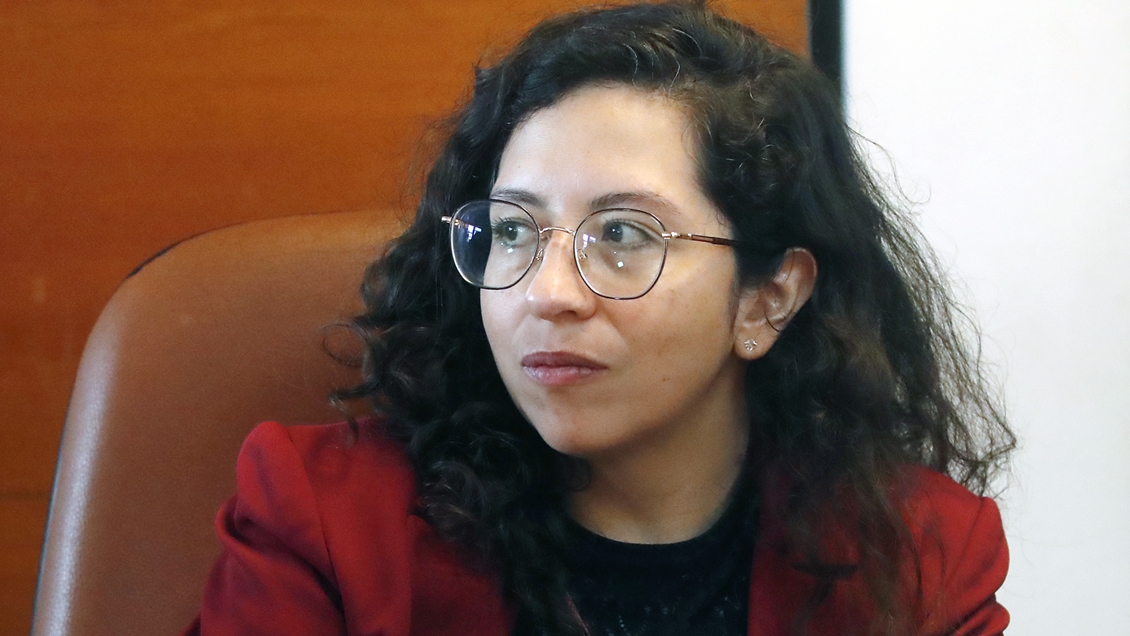 Bancada PPD refutó a Gael Yeomans sobre votación previsional: 