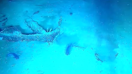   Investigación del galeón San José, el gran reto científico en el que se embarca Colombia 