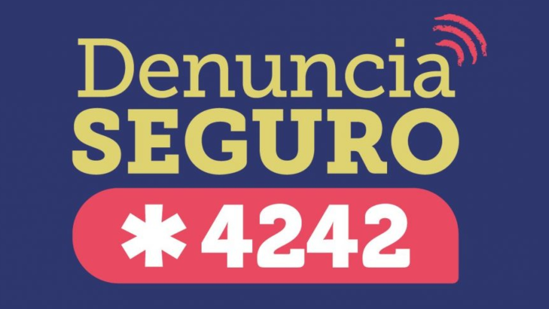 San Bernardo: Llamado a Denuncia Seguro permitió desbaratar banda dedicada al narcotráfico y al secuestro