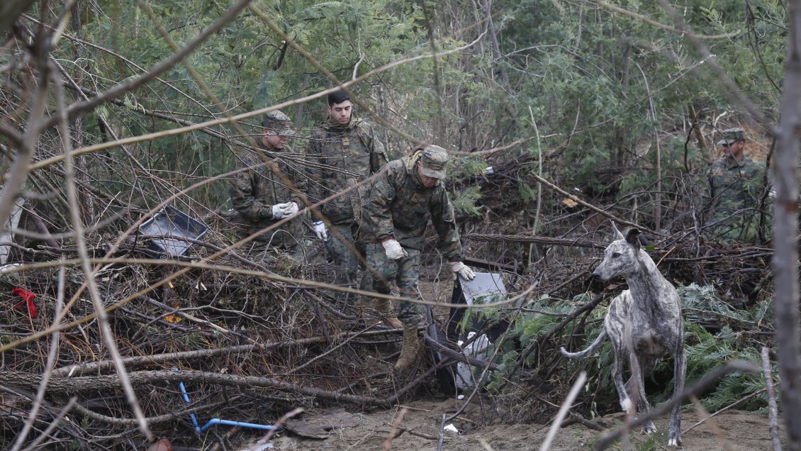 Se amplía despliegue en busca de mujer desaparecida en Punta Arenas