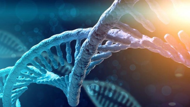  Investigadora: El Covid aceleró el desarrollo de terapias génicas  