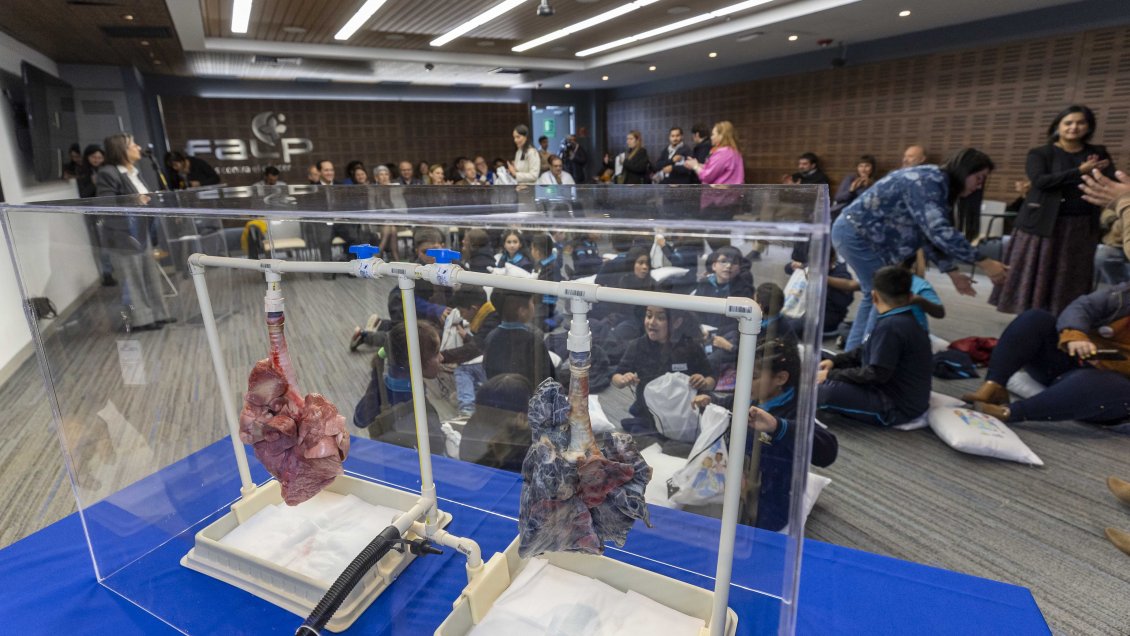 Día Mundial sin Tabaco: ¿Por qué se debe combatir su consumo?