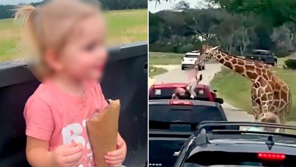   Jirafa levantó a una niña en safari de Texas 